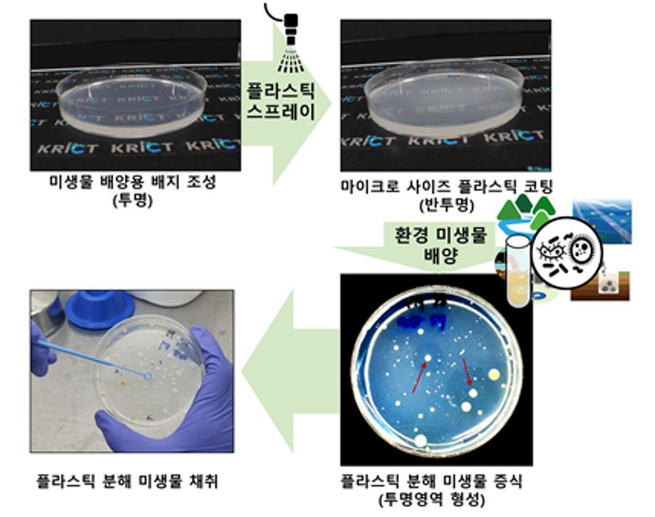 플라스틱 분해 미생물 쉽고 빠르게 찾아내는 키트 개발 이미지